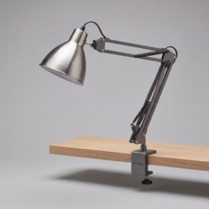 Clamp Reading Lamp